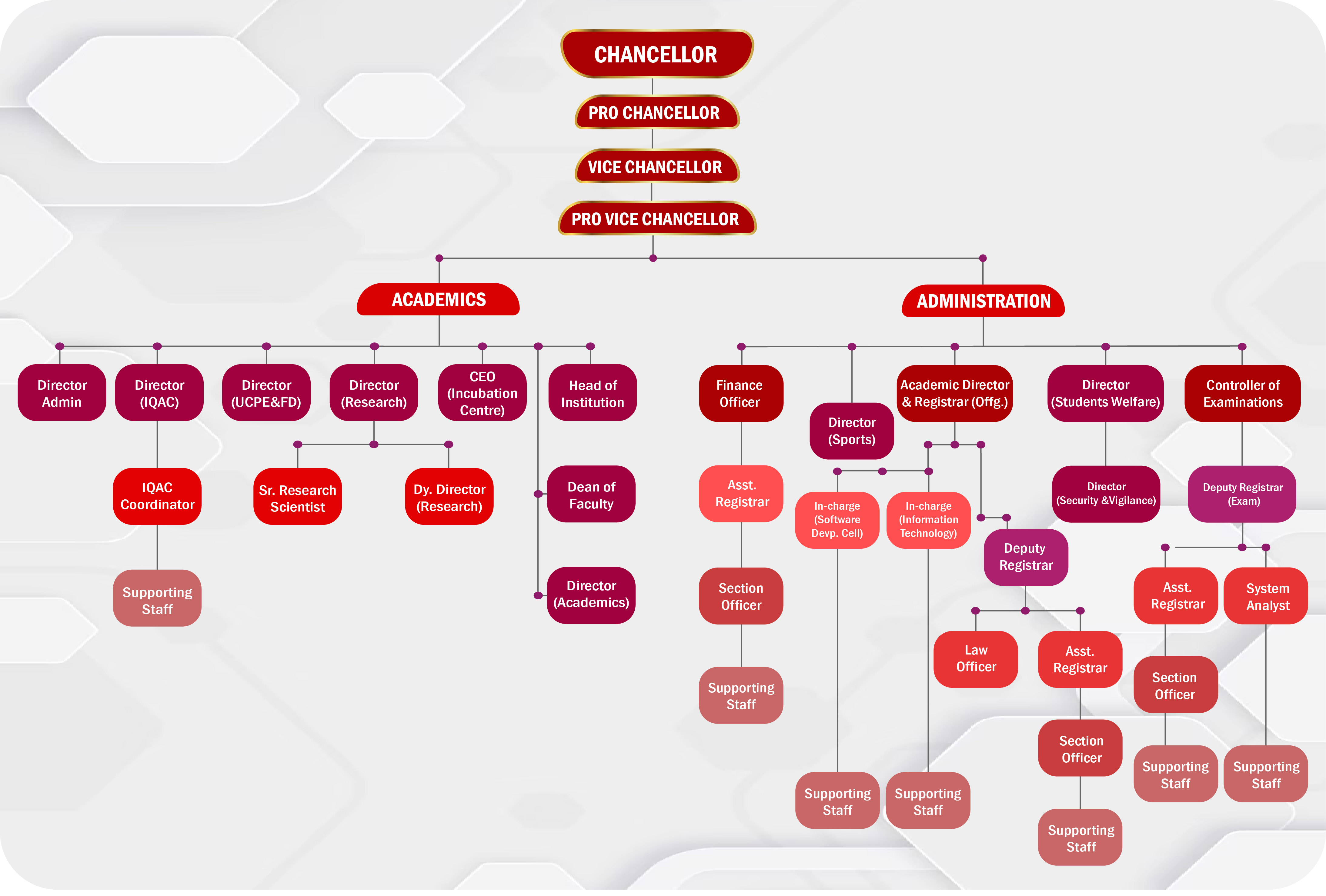 organization-structure